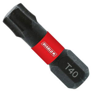 1 in. #40 Torx Drive Bits (25-Pack)