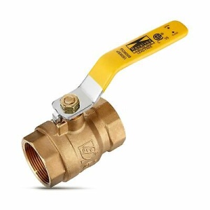 Boston 1" Full Port Threaded Ball Valve