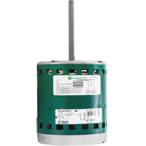 Variable Evergreen - 1/2 HP Motor 1075 RPM, 6205X Main